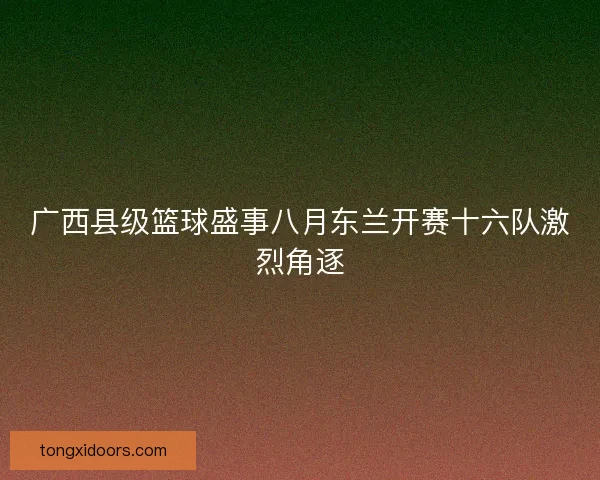 广西县级篮球盛事八月东兰开赛十六队激烈角逐