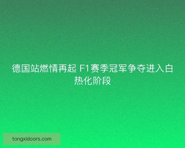 德国站燃情再起 F1赛季冠军争夺进入白热化阶段